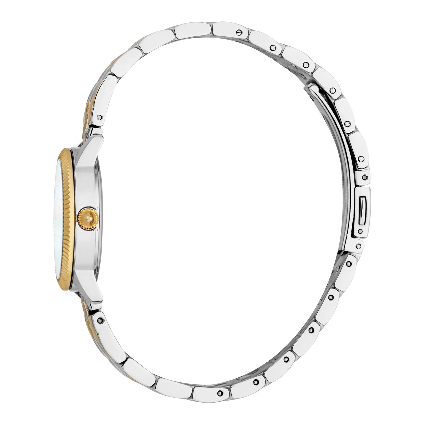 JUST CAVALLI WATCH - JC1L258M0265