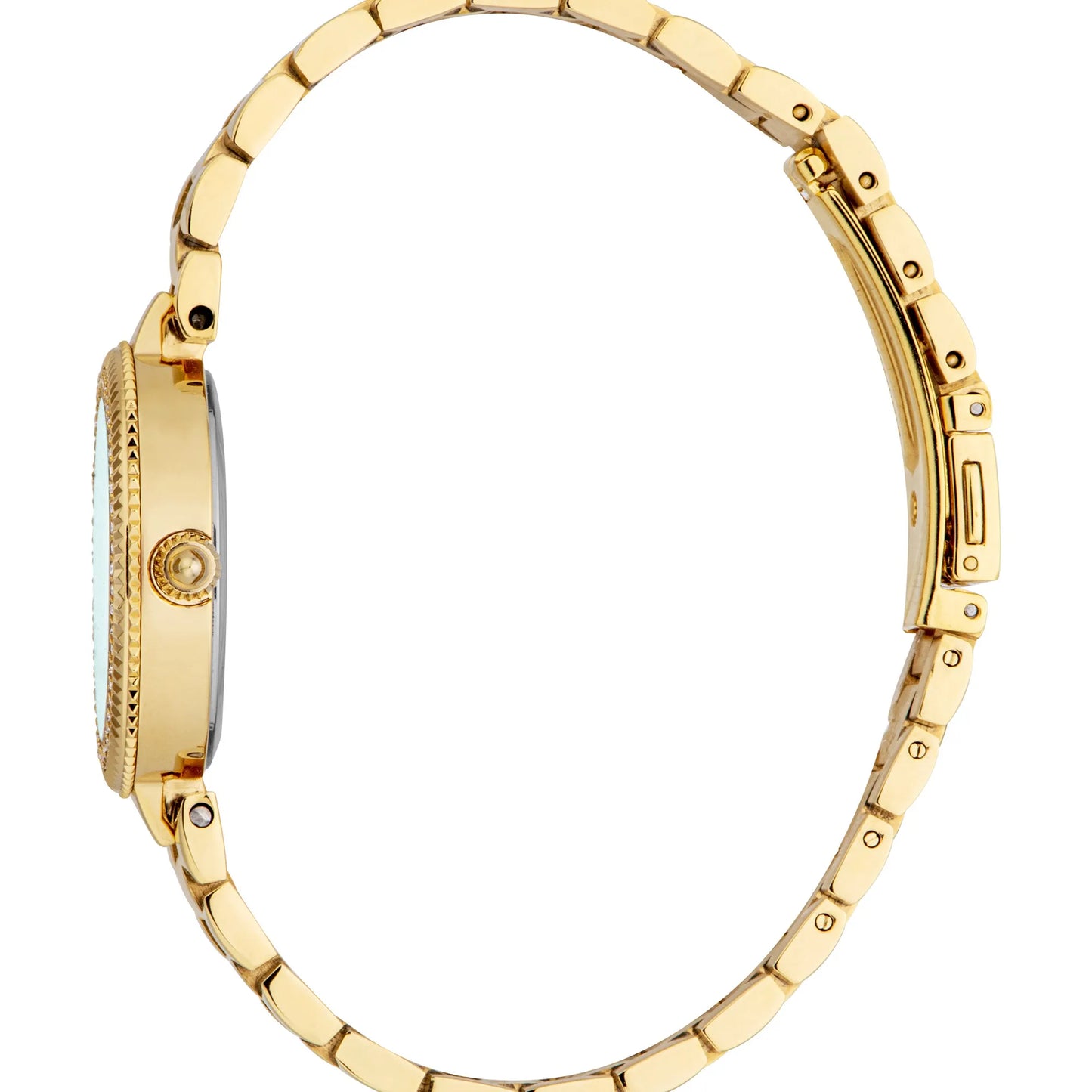 JUST CAVALLI WATCH - JC1L308M0055