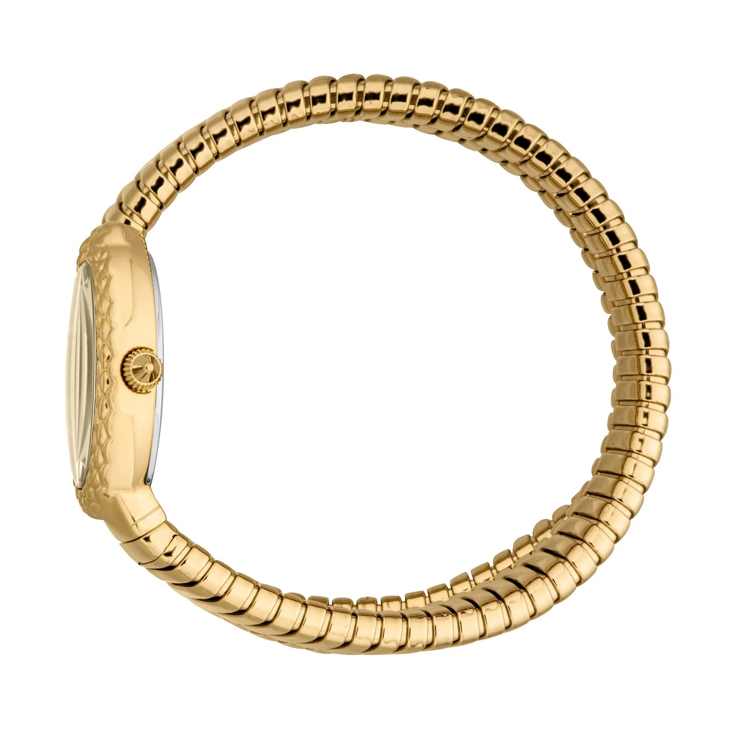 JUST CAVALLI WATCH - JC1L391M0025