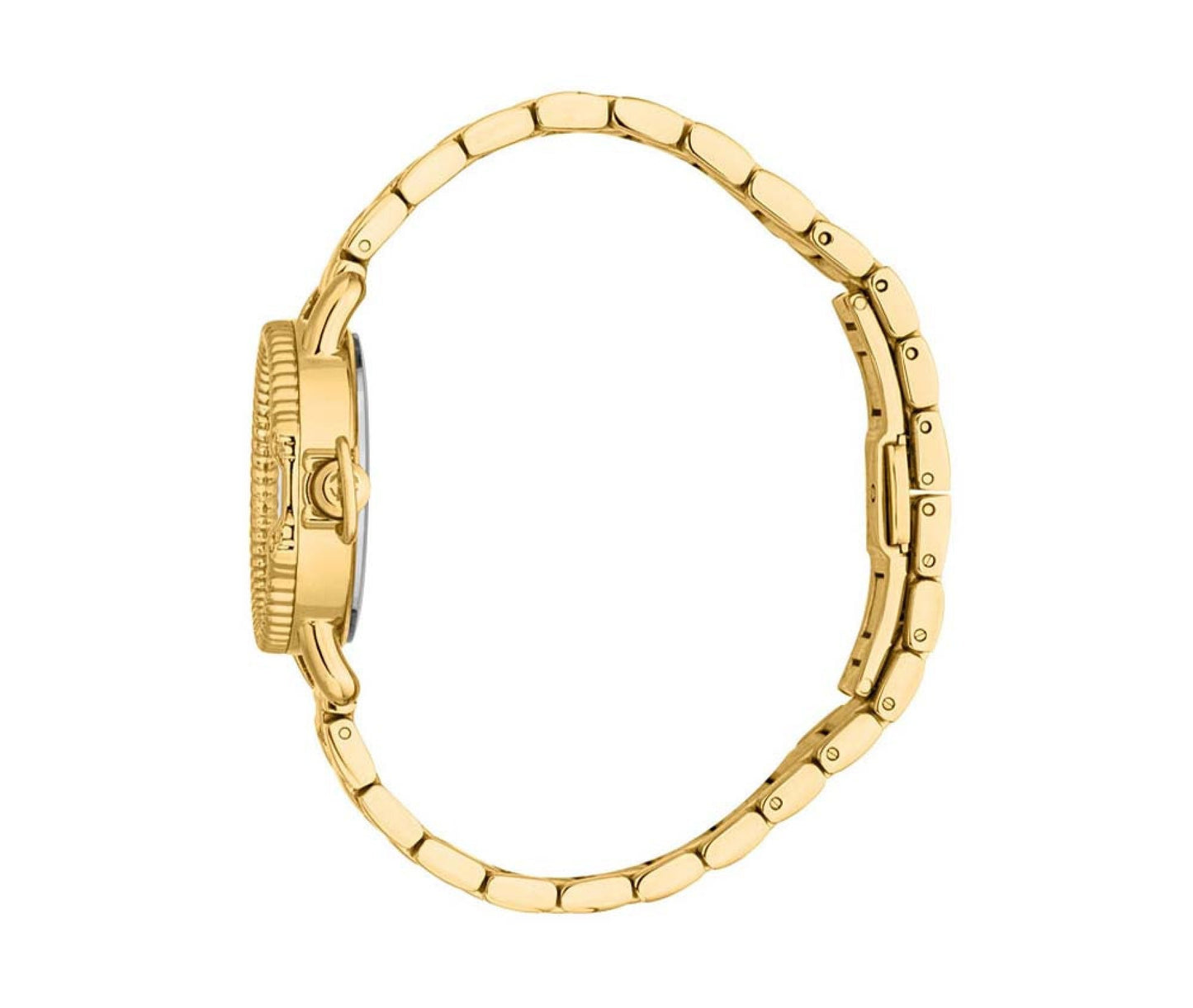 ROBERTO CAVALLI WATCH - RC5L105M0055