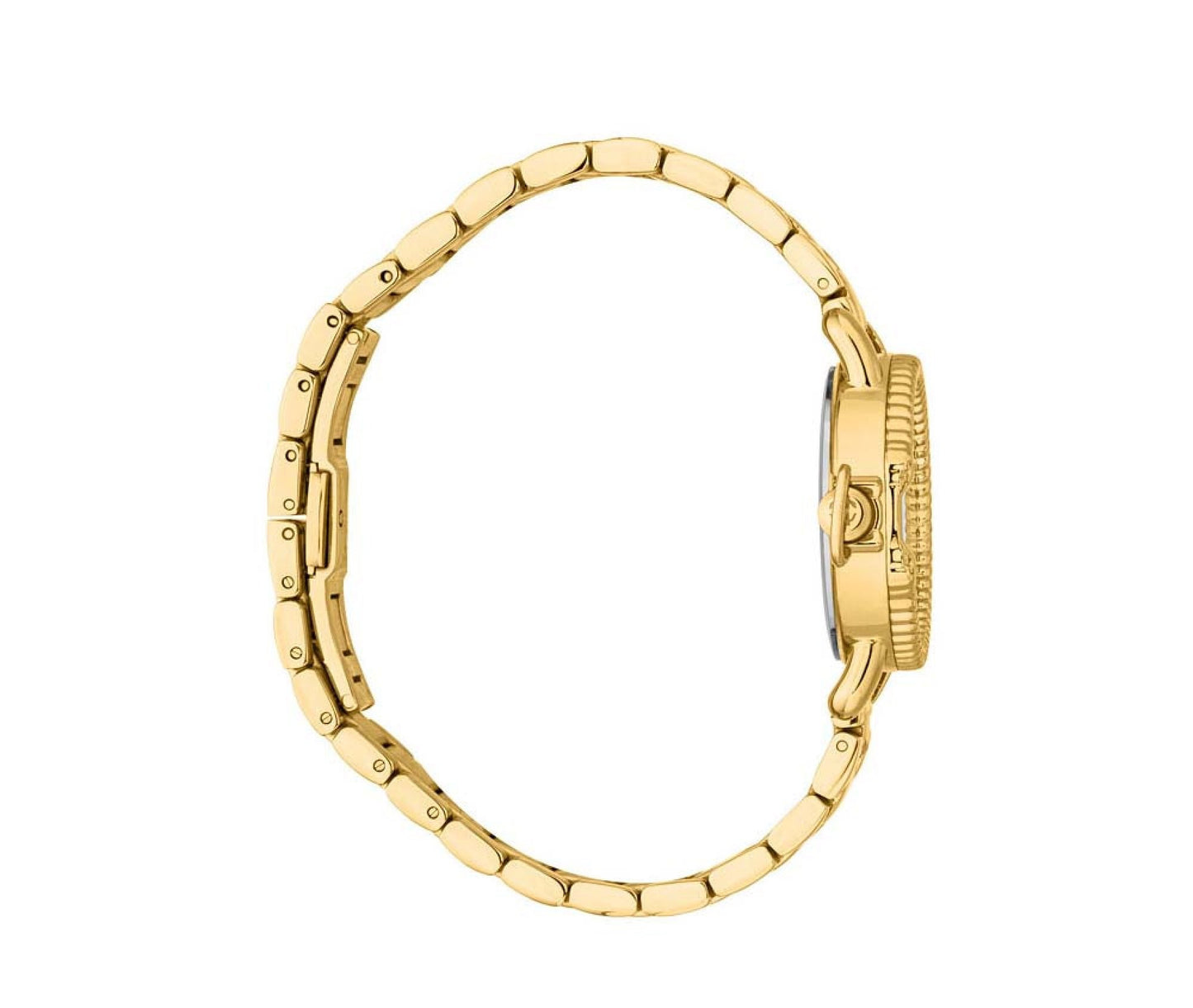 ROBERTO CAVALLI WATCH - RC5L105M0055